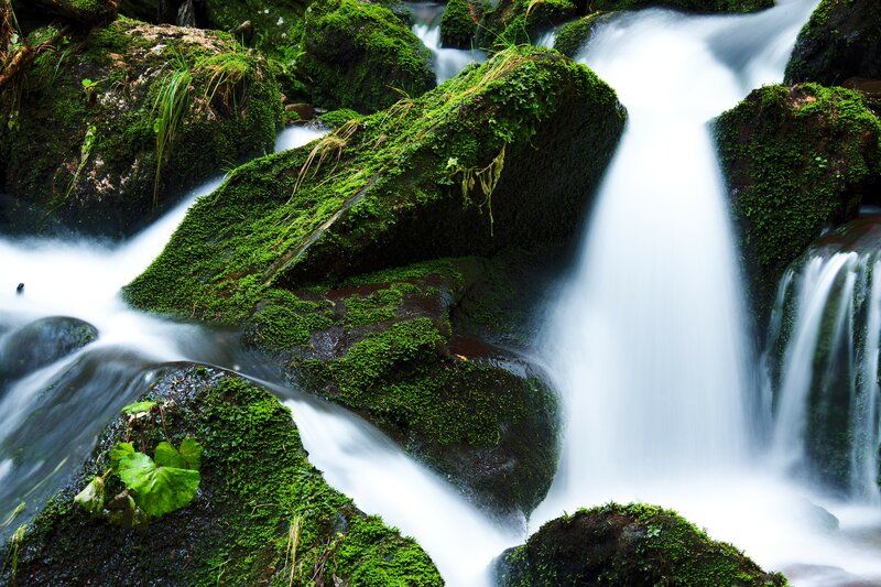 Moss-covered Rocks in Stream — Green, Serene, Photograph, Waterfall, Moss