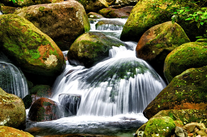 Moss-covered Rocks in Stream — Green, Serene, Photograph, Waterfall