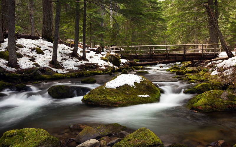Moss-covered Rocks in Stream — Green, Serene, Spring