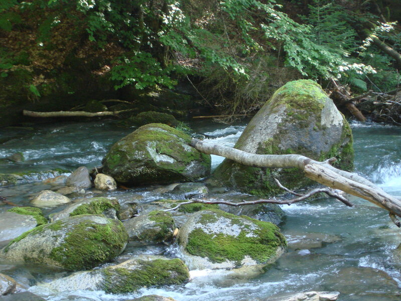 Moss-covered Rocks in Stream — Green, Serene