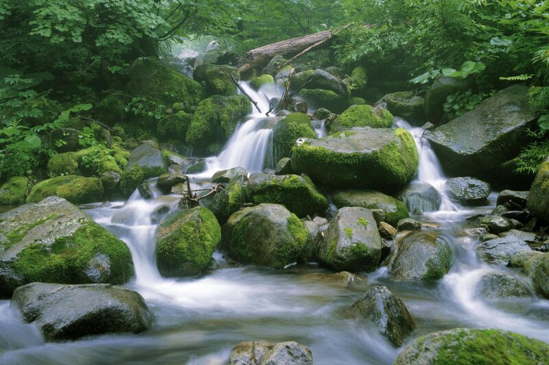 Moss-covered Rocks in Stream — Morning