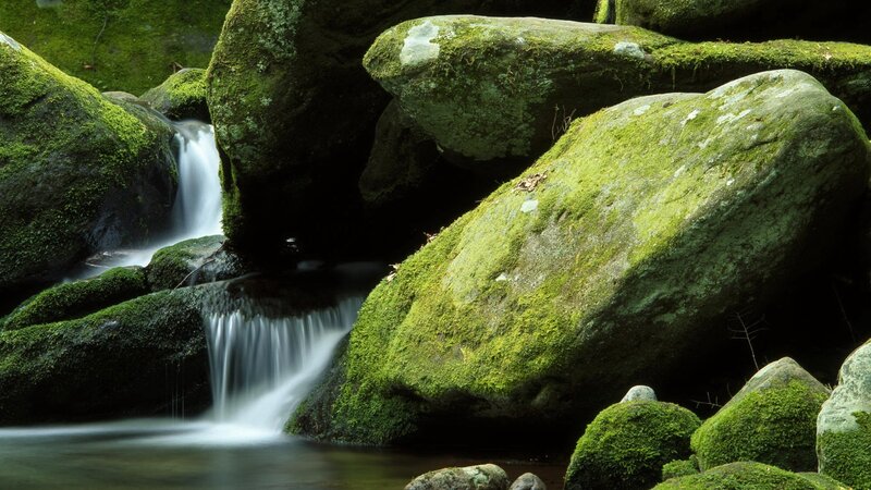 Moss-covered Rocks in Stream — Photograph