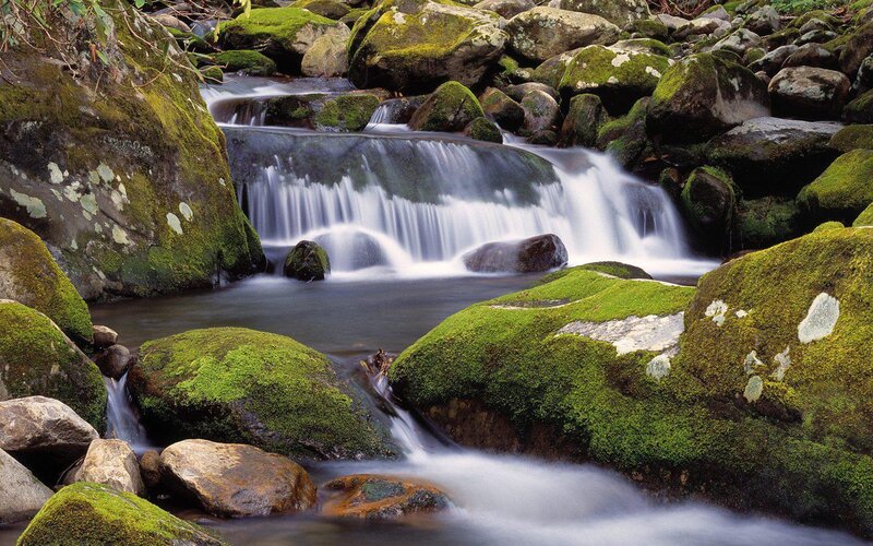 Moss-covered Rocks in Stream — White