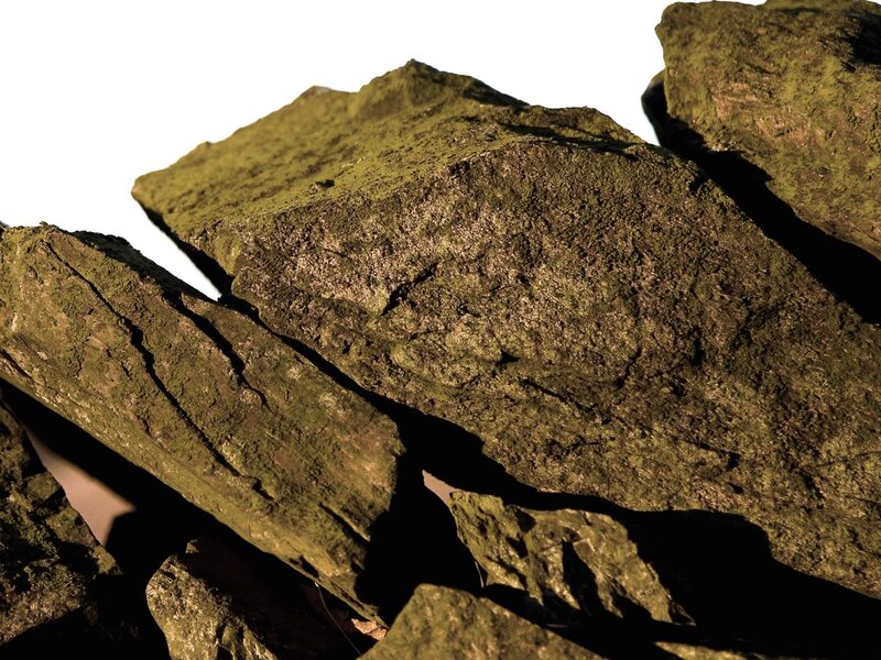 moss-covered rocks in sunlight