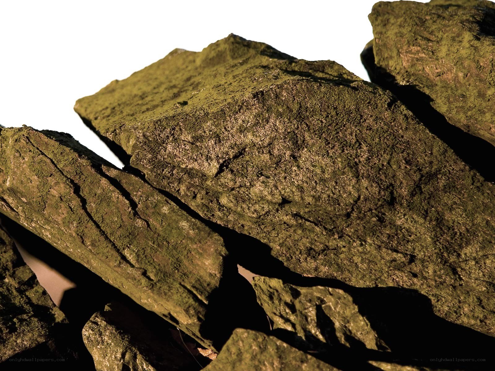 moss-covered rocks in sunlight