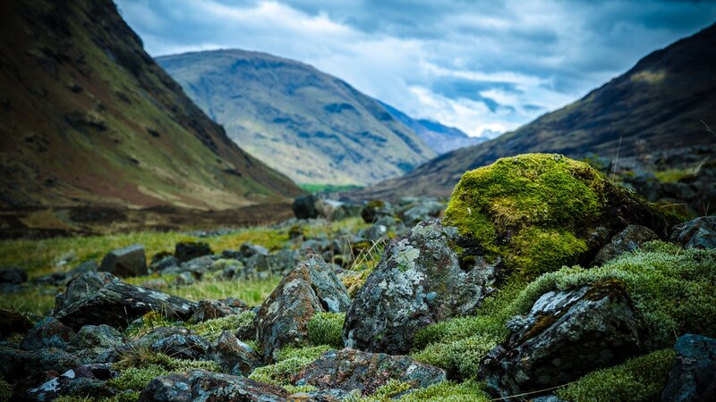Moss-covered Rocks in Valley — Green, Dramatic, Photograph