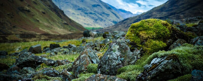 Moss-covered Rocks in Valley — Green, Serene