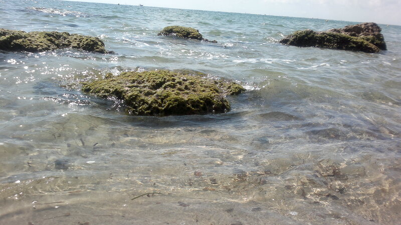 Moss-covered Rocks in Water — Green