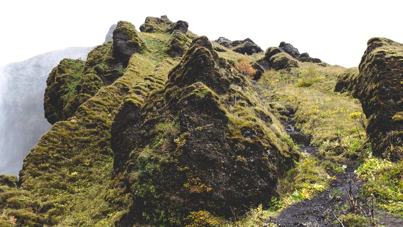 Moss-covered rocks near waterfall