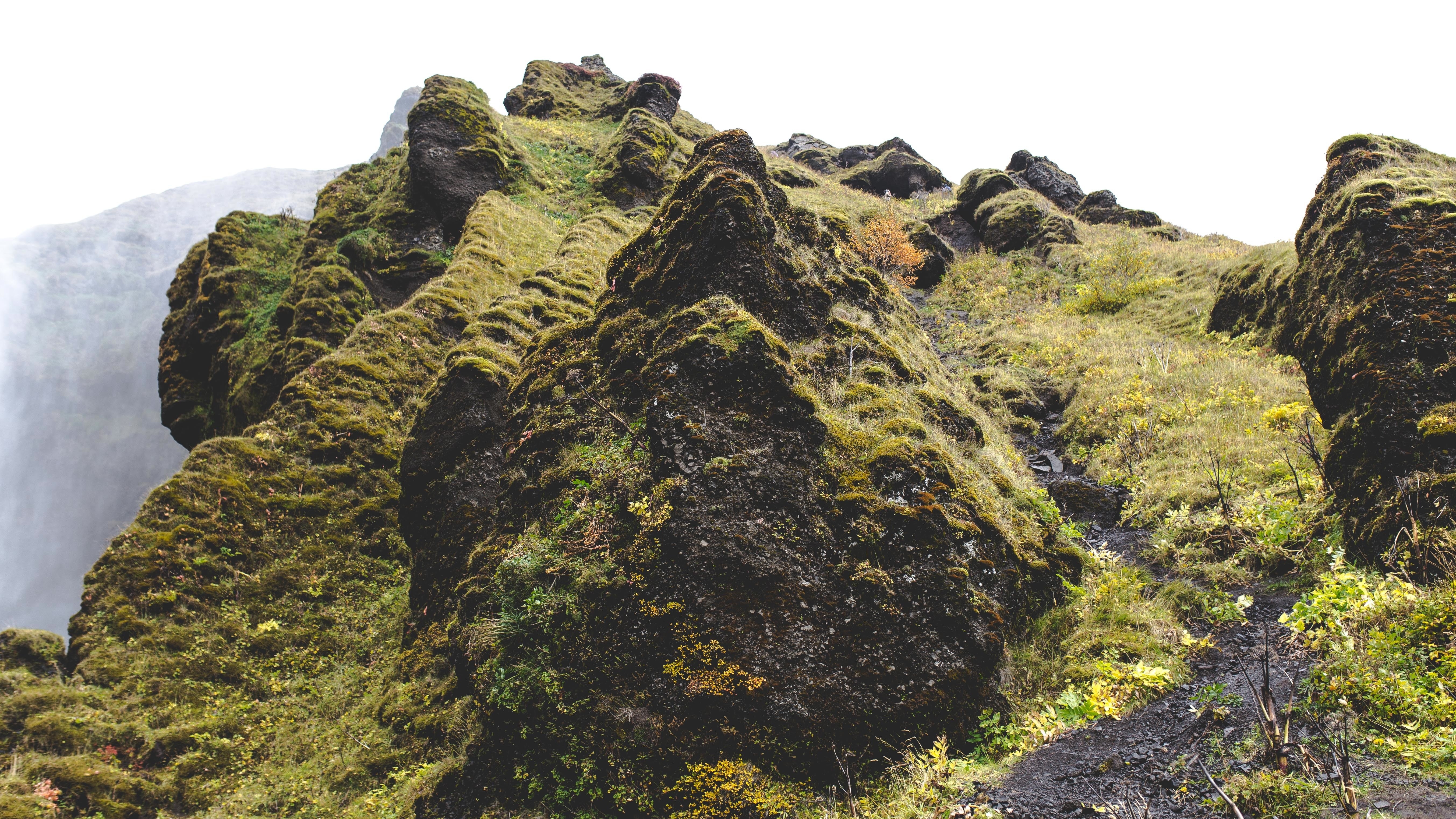 Moss-covered rocks near waterfall