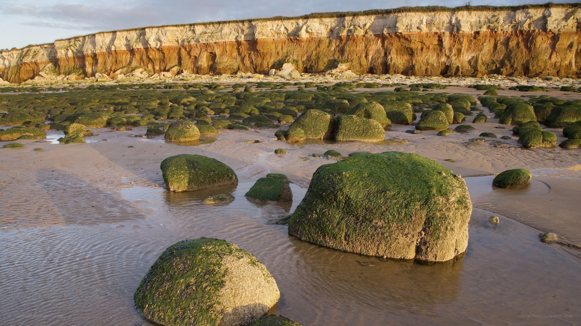 Moss-covered rocks on a beach