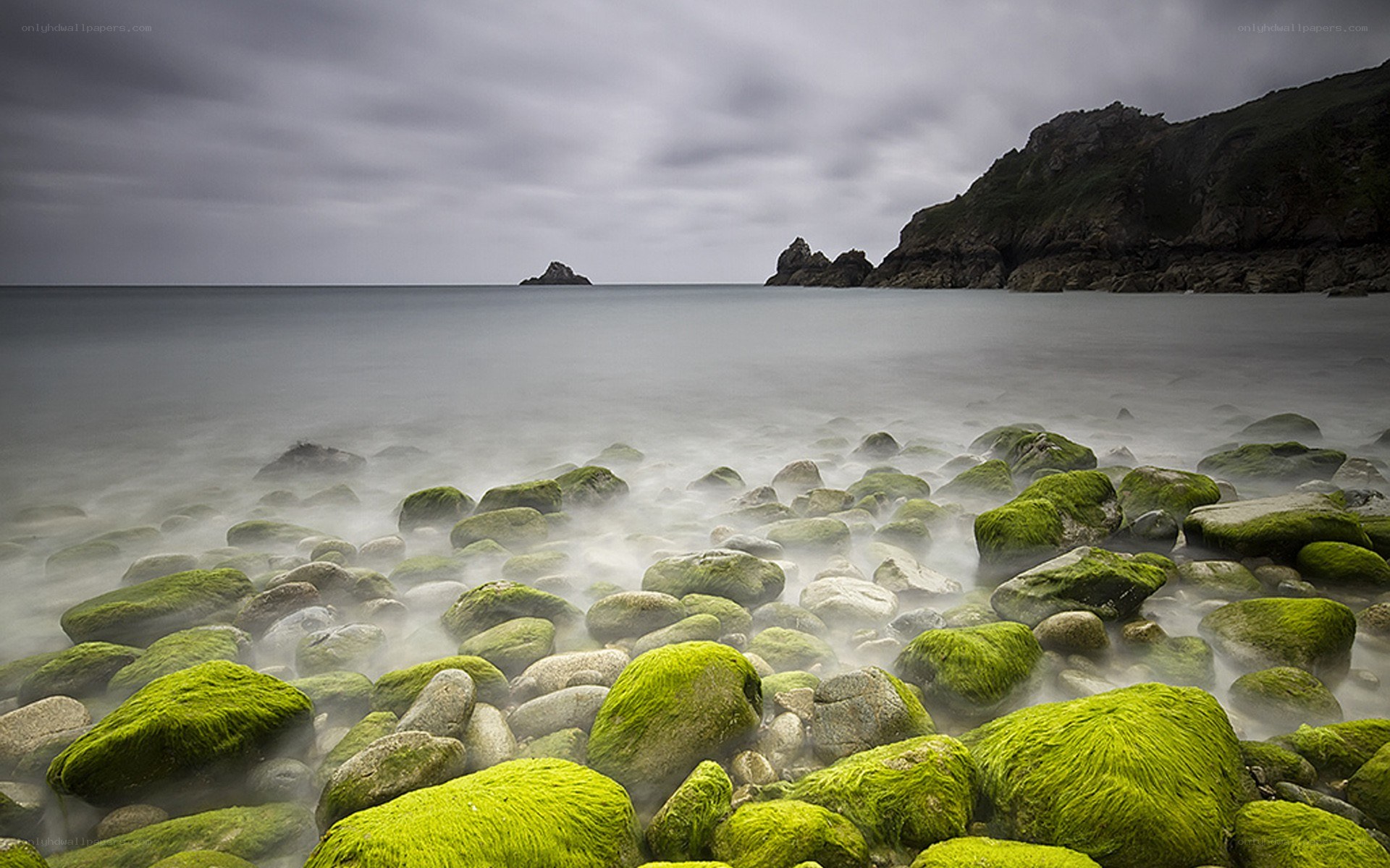 Moss-covered rocks on a misty shore