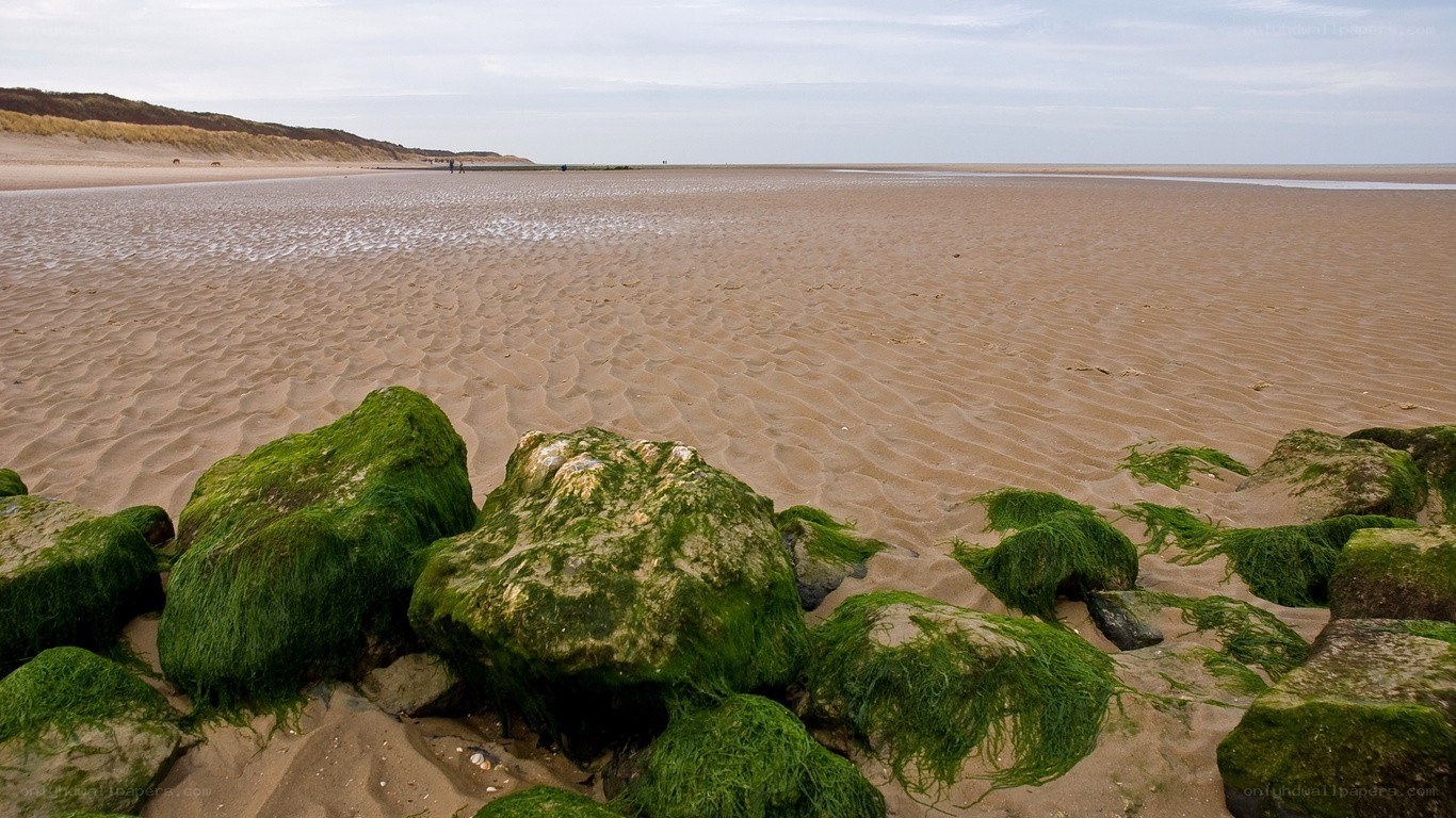 Moss-covered rocks on a sandy beach
