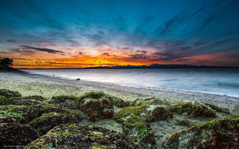 Moss-covered Rocks on Beach — Blue, Dramatic, Sunset, Photograph, Ocean