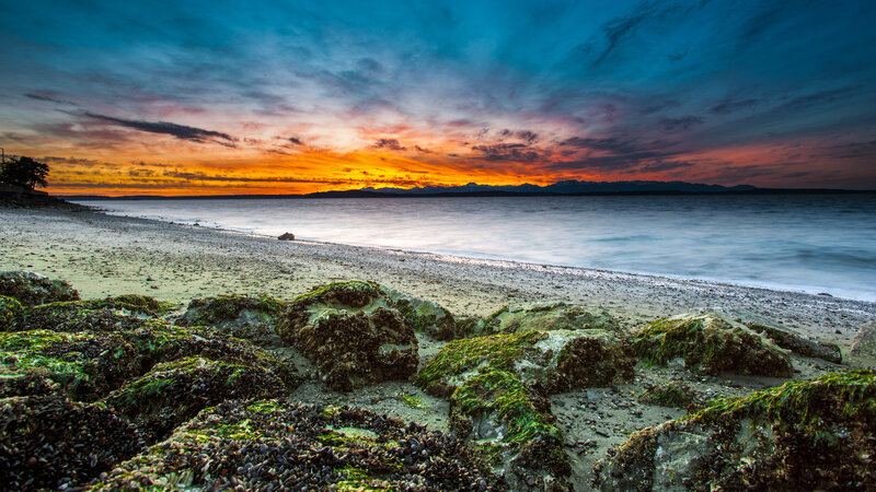 Moss-covered Rocks on Beach — Blue, Dramatic, Sunset, Photograph, Sea