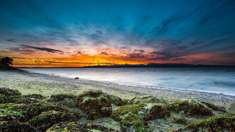 Moss-covered Rocks on Beach — Blue, Dramatic, Sunset
