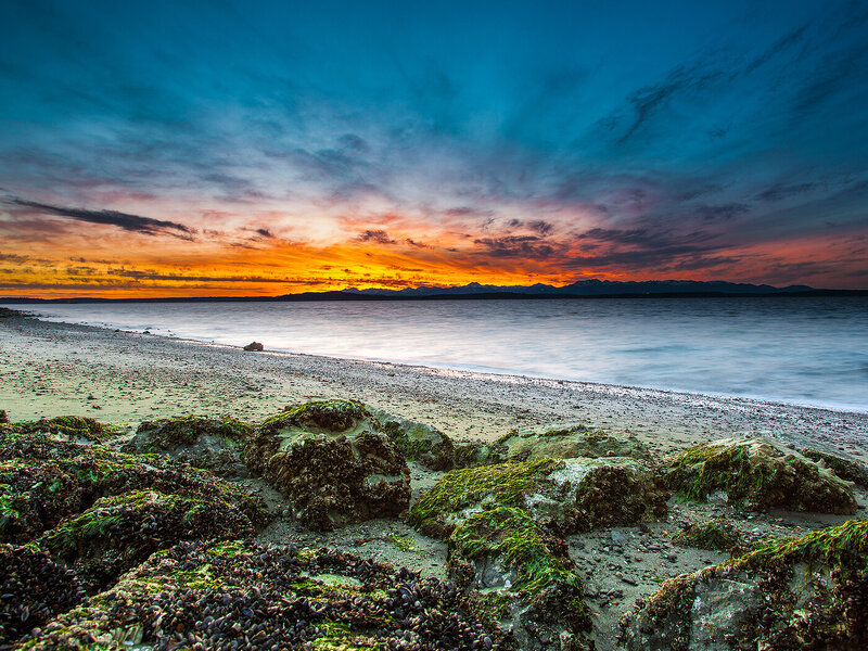 Moss-covered Rocks on Beach — Blue, Serene