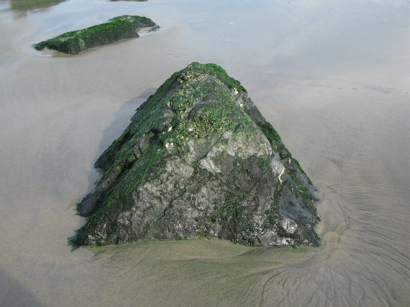 Moss-covered Rocks on Beach — Green, Calm