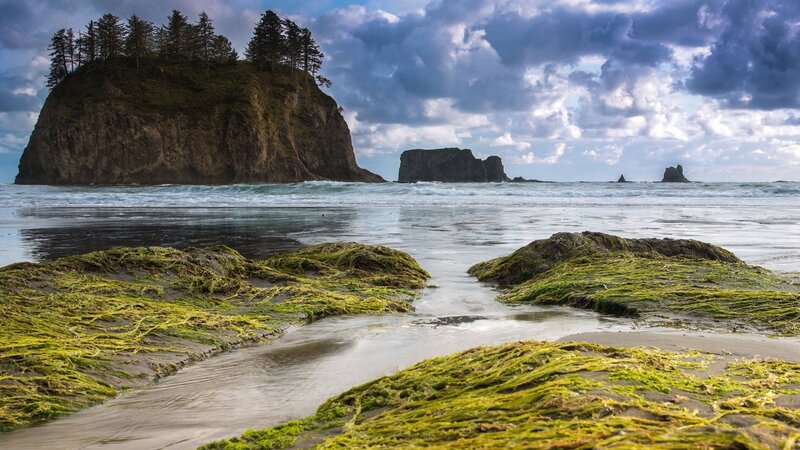 Moss-covered Rocks on Beach — Green, Dramatic, Afternoon, Photograph