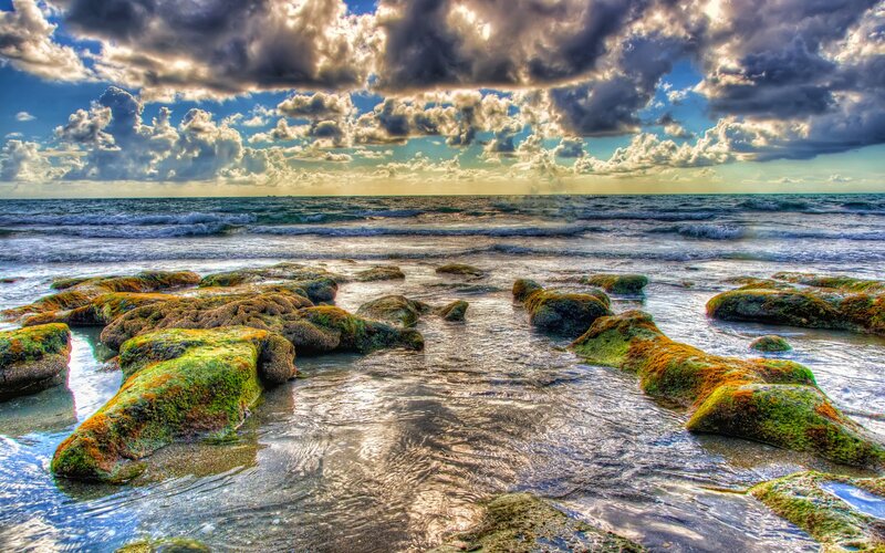 Moss-covered Rocks on Beach — Green, Dramatic, Afternoon