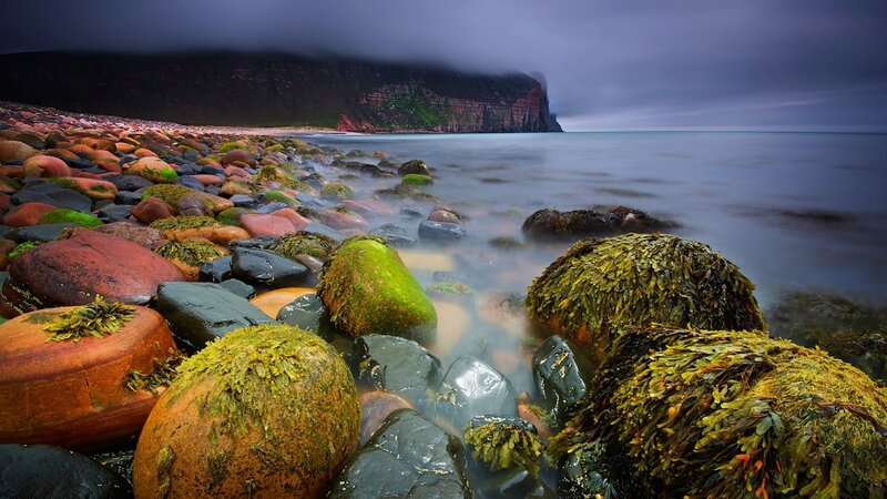 Moss-covered Rocks on Beach — Green, Dramatic, Night, Photograph