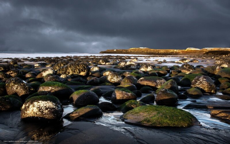 Moss-covered Rocks on Beach — Green, Dramatic, Sunset, Photograph, Ocean
