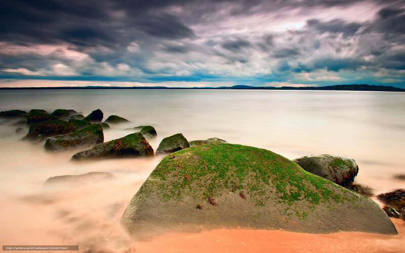 Moss-covered Rocks on Beach — Green, Dramatic, Sunset, Photograph, Sea