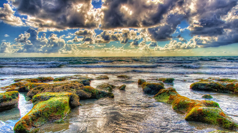 Moss-covered Rocks on Beach — Green, Dramatic, Sunset, Photograph