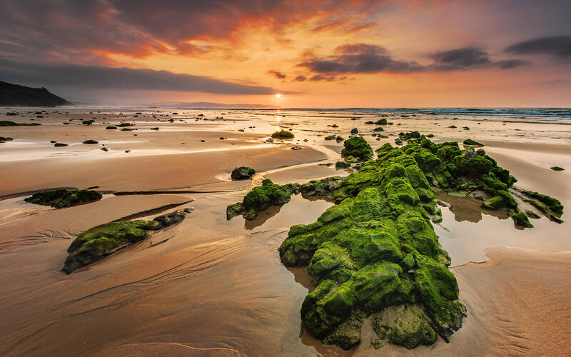 Moss-covered Rocks on Beach — Green, Dramatic, Sunset