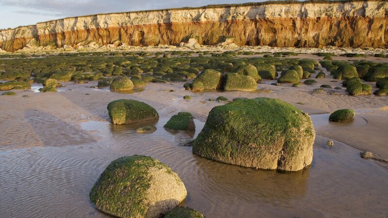Moss-covered Rocks on Beach — Green, Serene, Sunset, Photograph, Cliffs