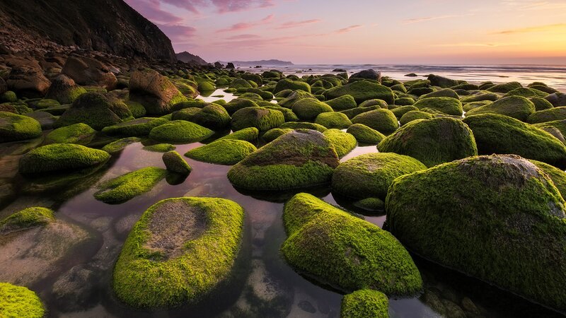 Moss-covered Rocks on Beach — Green, Serene, Sunset, Photograph, Ocean, Sky, Cliff