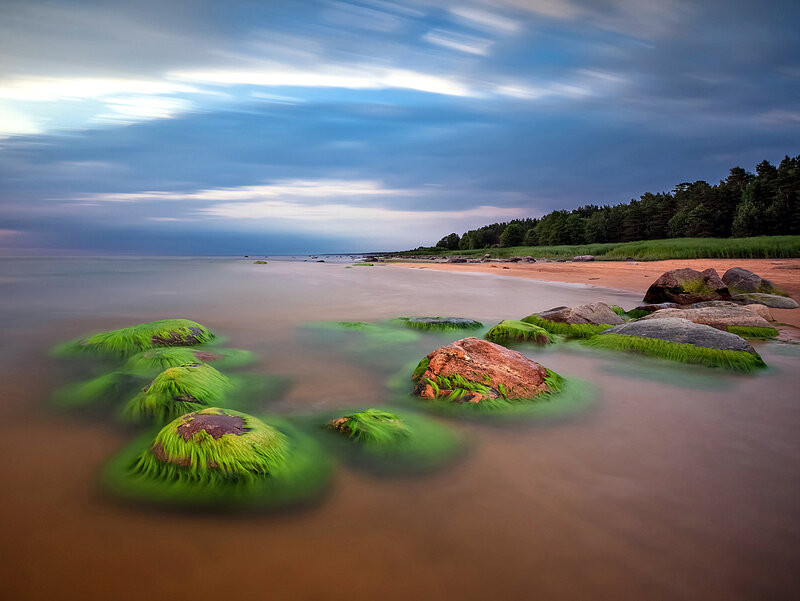 Moss-covered Rocks on Beach — Green, Serene, Sunset, Photograph