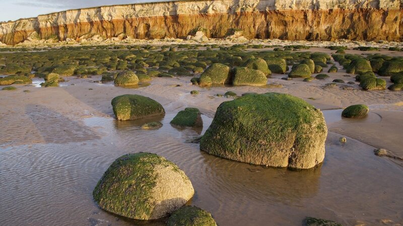 Moss-covered Rocks on Beach — Green, Serene, Sunset