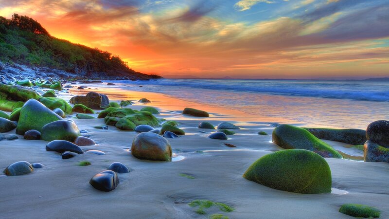Moss-covered Rocks on Beach — Green, Serene