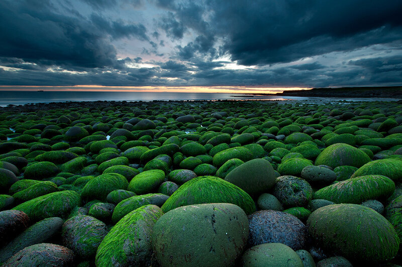 Moss-covered Rocks on Beach — Green