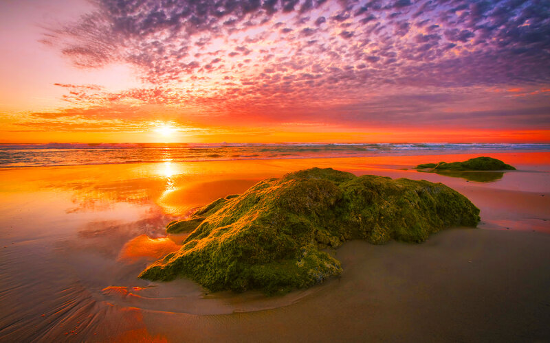 Moss-covered Rocks on Beach — Orange, Dramatic
