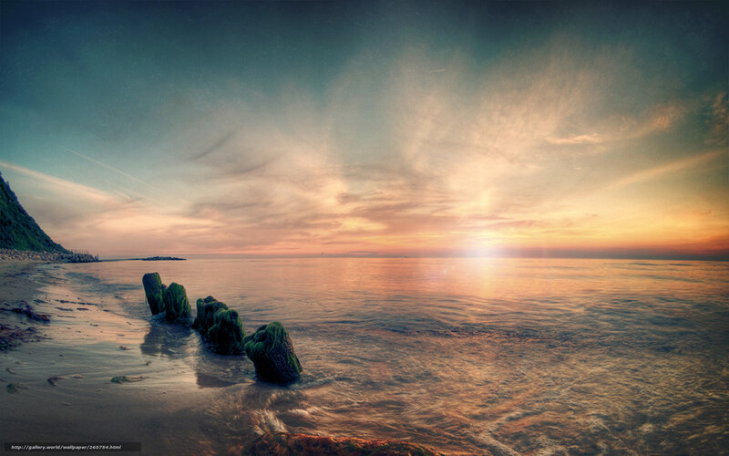 Moss-covered Rocks on Beach — Orange, Serene