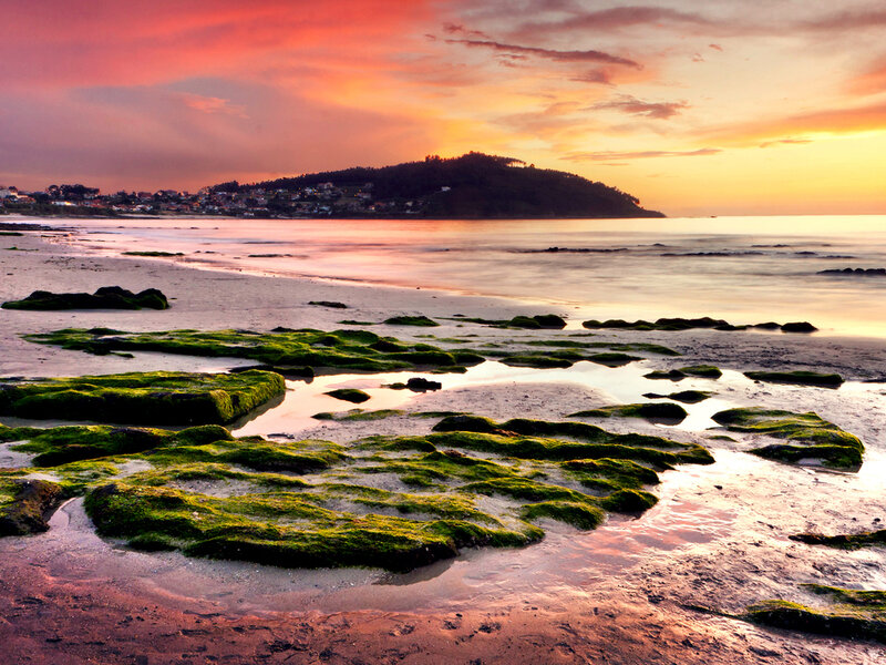 Moss-covered Rocks on Beach — Orange