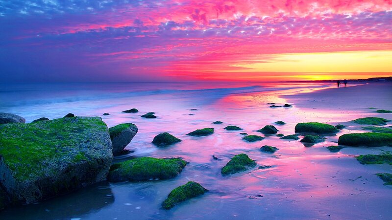 Moss-covered Rocks on Beach — Pink, Dramatic, Sunset