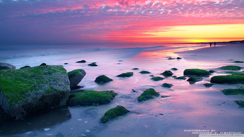 Moss-covered Rocks on Beach — Pink