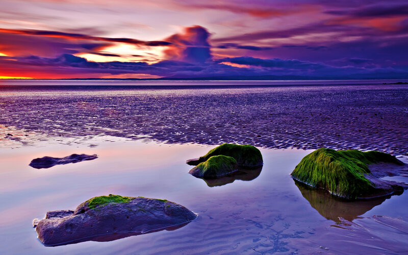 Moss-covered Rocks on Beach — Purple, Dramatic