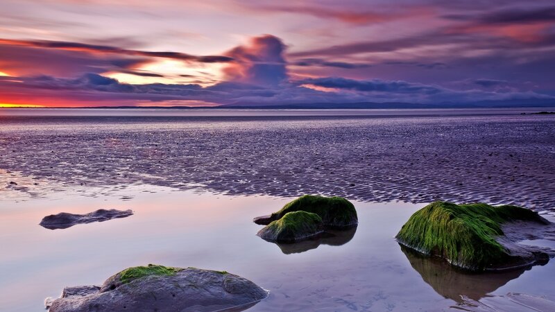 Moss-covered Rocks on Beach — Purple, Serene, Sunset, Photograph