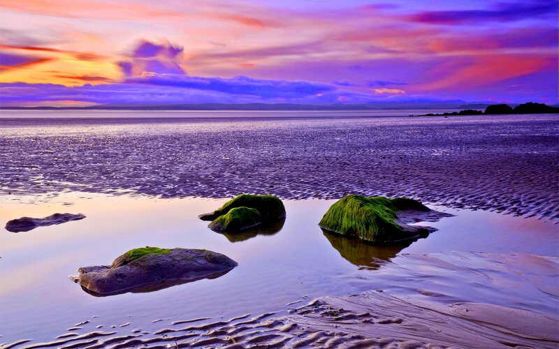 Moss-covered Rocks on Beach — Purple, Serene, Sunset