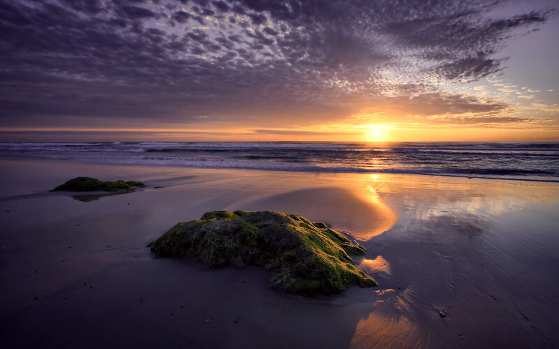 Moss-covered Rocks on Beach — Purple