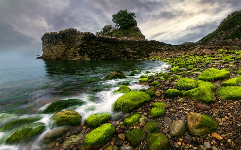 Moss-covered Rocks on Shore — Green, Dramatic, Photograph