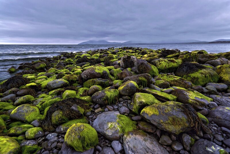 Moss-covered Rocks on Shore — Green, Dramatic