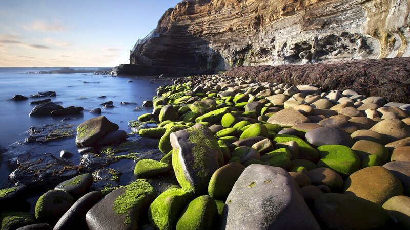 Moss-covered Rocks on Shore — Green, Serene, Afternoon