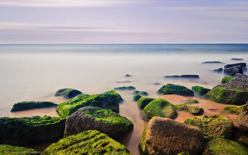Moss-covered Rocks on Shore — Green