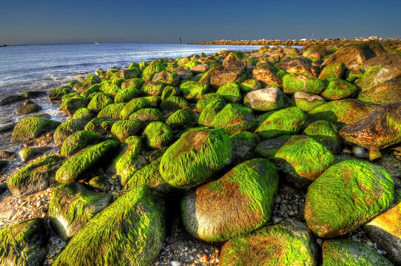 Moss-covered Rocks on Shore