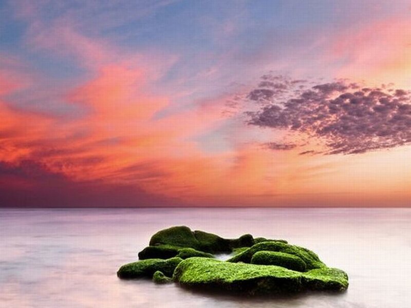 Moss-covered Rocks — Pink